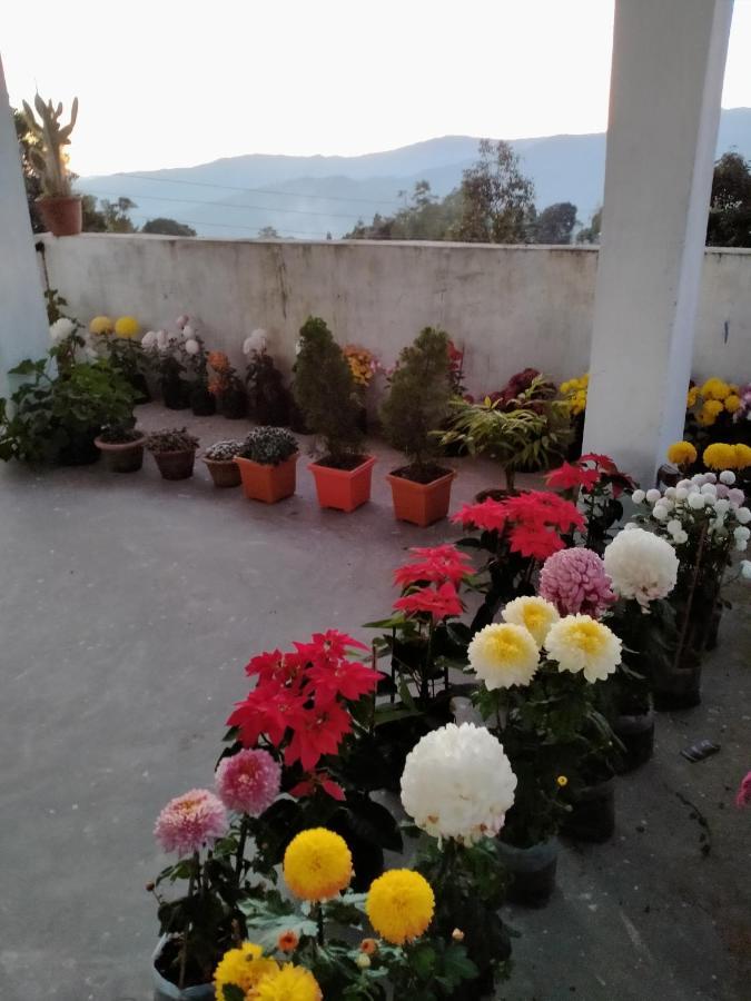 Ajit Homestay, Darjeeling Dárdžiling Exteriér fotografie
